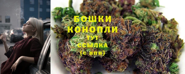 сатива Горно-Алтайск