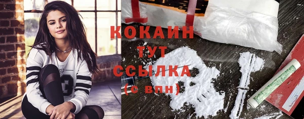 сатива Горно-Алтайск