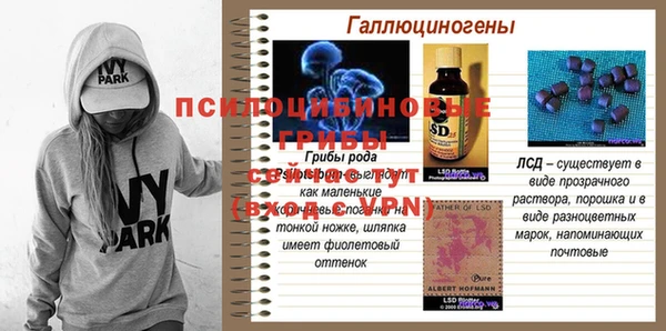 сатива Горно-Алтайск
