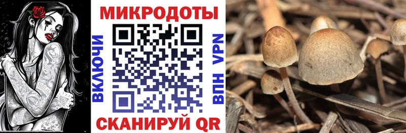 продажа наркотиков  Зверево  МЕГА   Галлюциногенные грибы мухоморы 